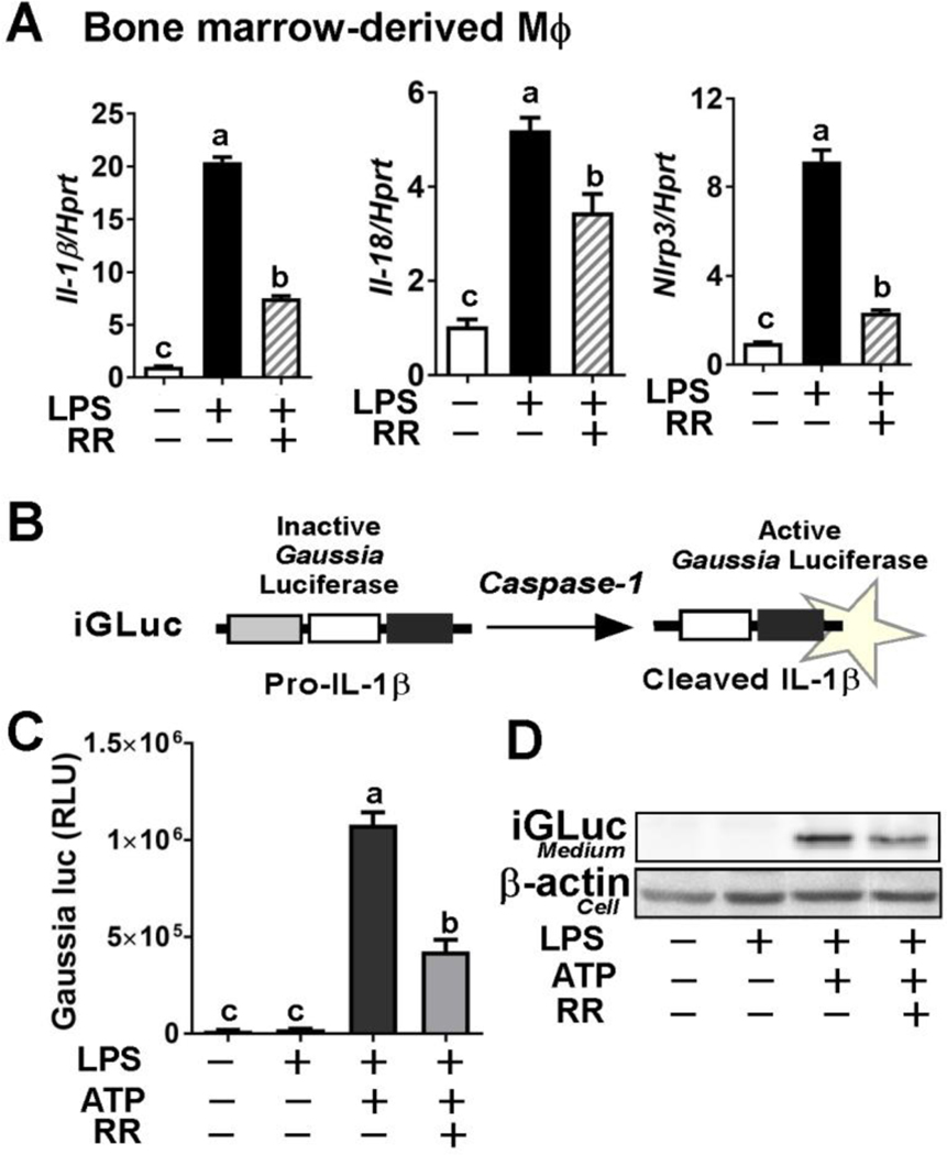 Figure 4.