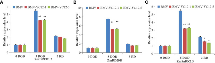 Figure 11