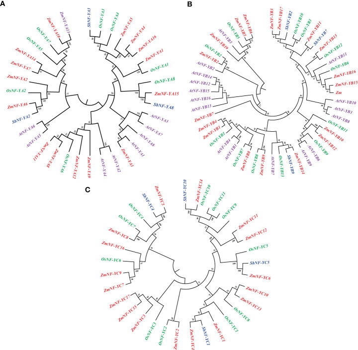 Figure 1