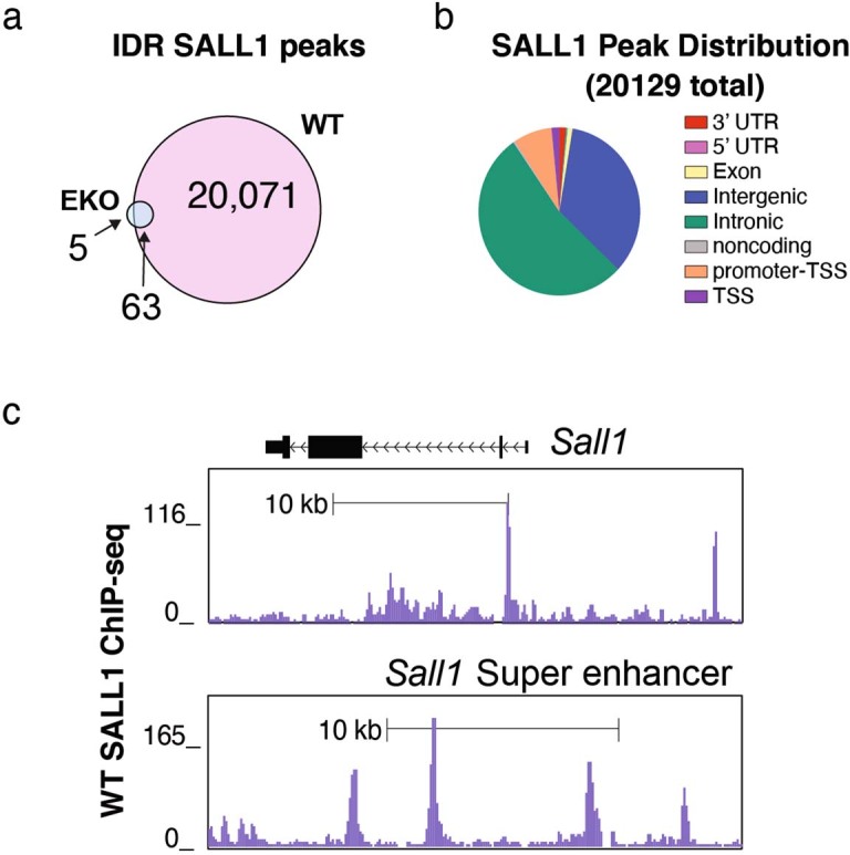 Extended Data Fig. 5