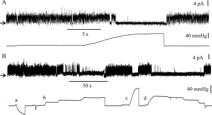 FIGURE 5.