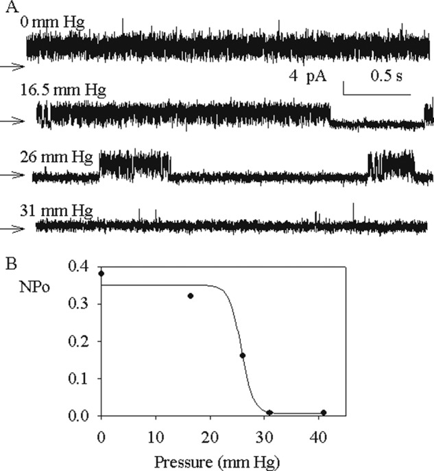 FIGURE 6.