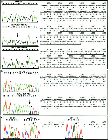 Figure  1