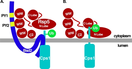 FIGURE 9.