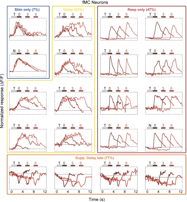 Figure 3—figure supplement 3.