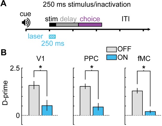 Figure 9—figure supplement 1.