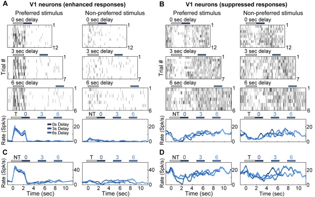 Figure 2—figure supplement 1.