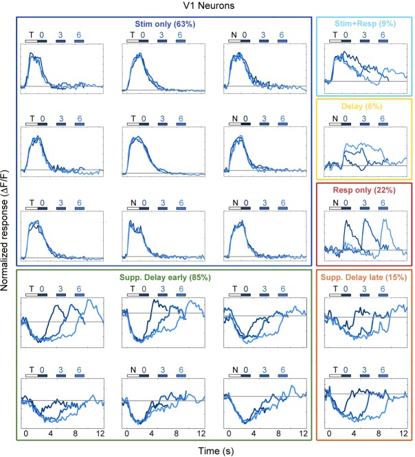 Figure 3—figure supplement 1.