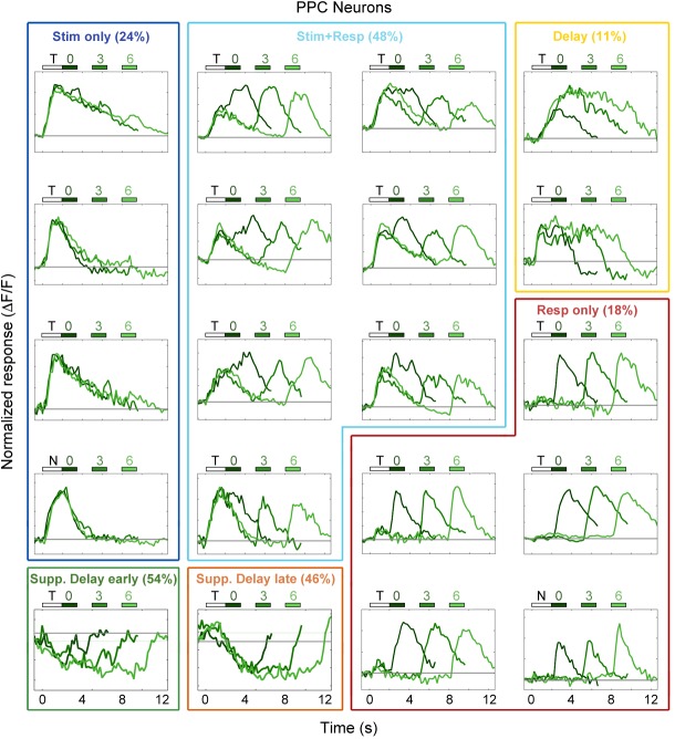 Figure 3—figure supplement 2.