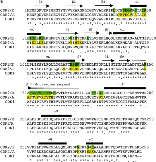 Figure 4b