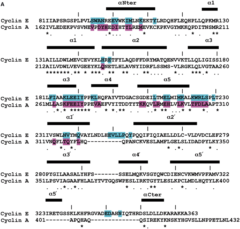 Figure 4a