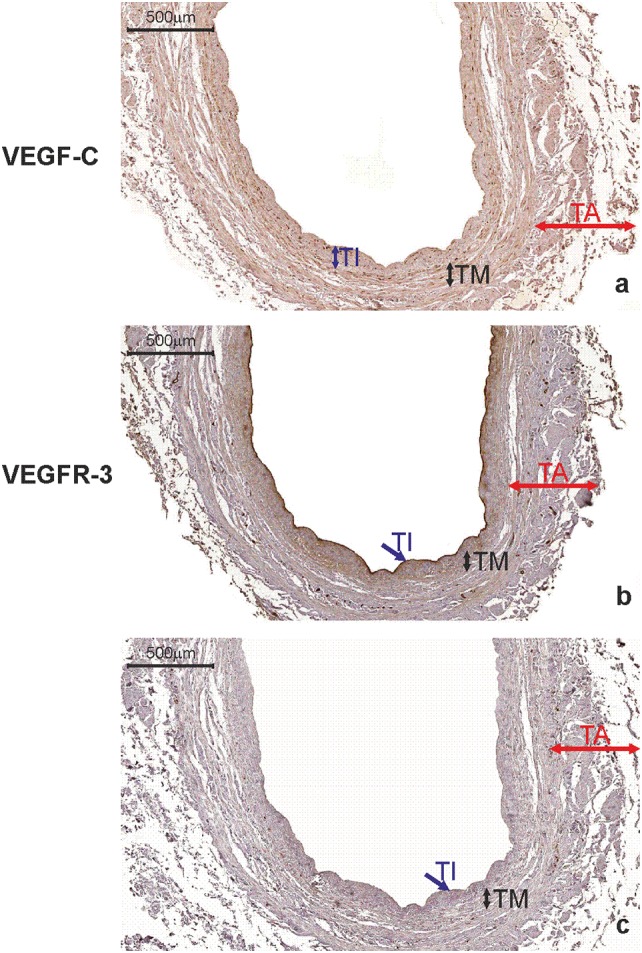 Fig. 8