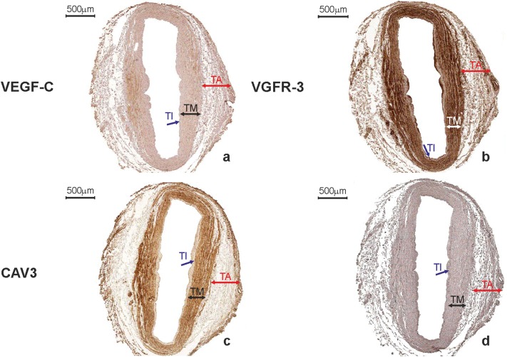 Fig. 9