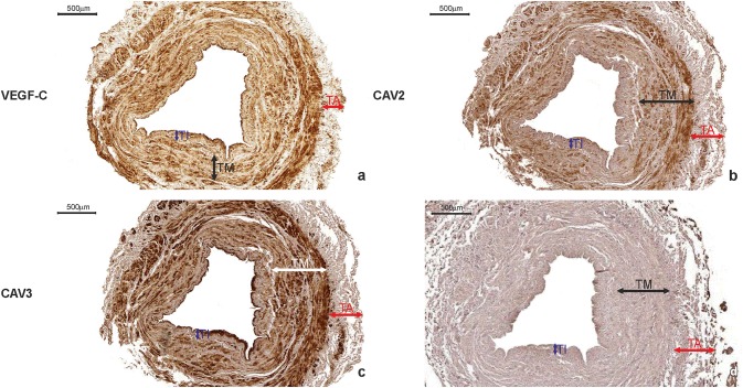 Fig. 6