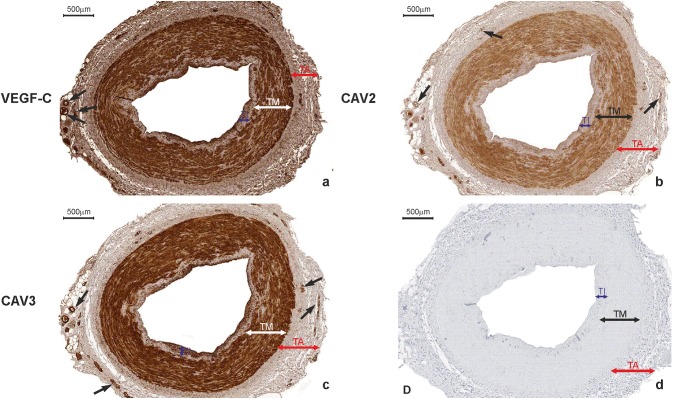 Fig. 7