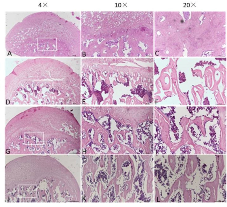 Figure 4