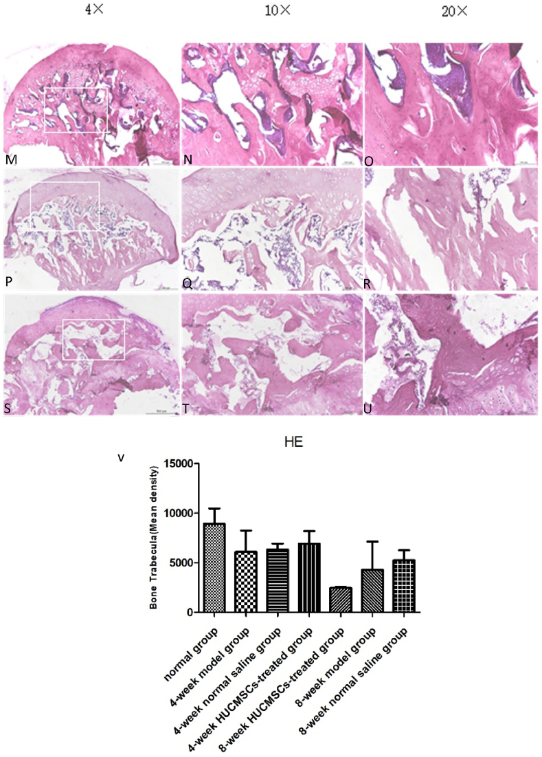 Figure 4