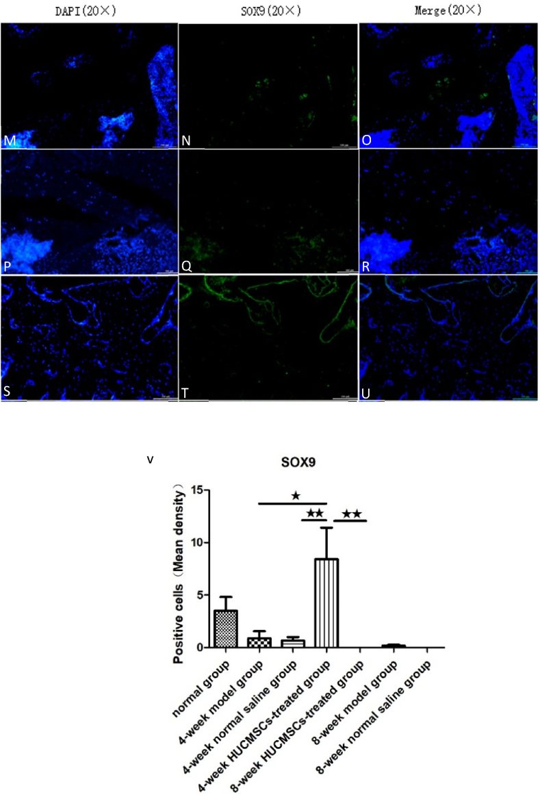 Figure 7