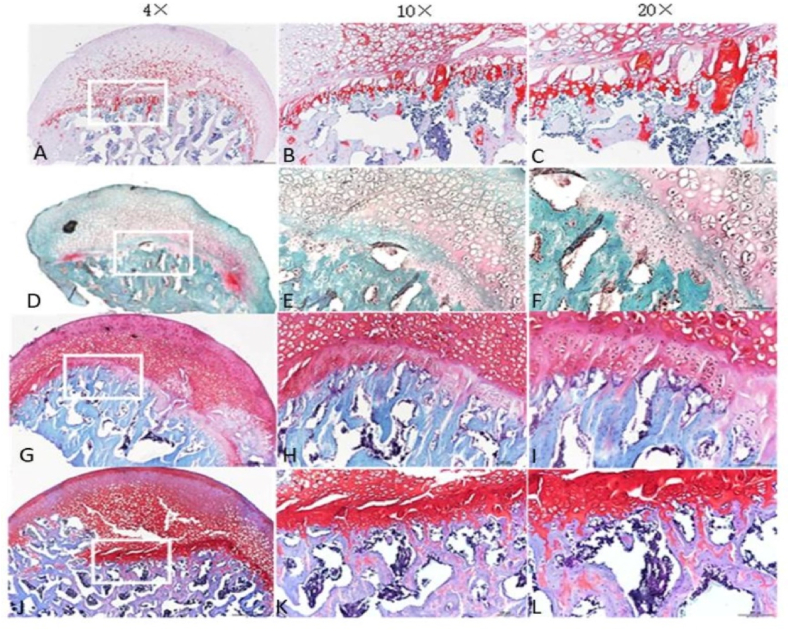 Figure 5