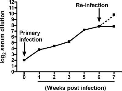 FIG. 6.