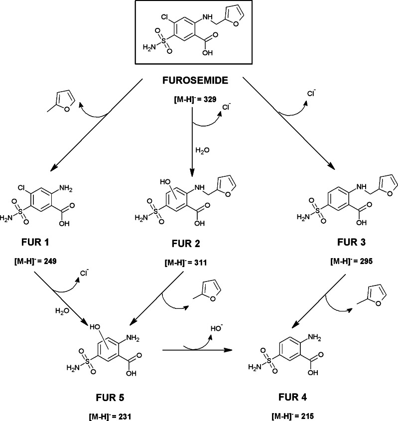 Fig. 5