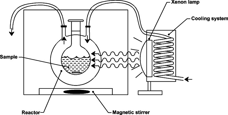 Fig. 1