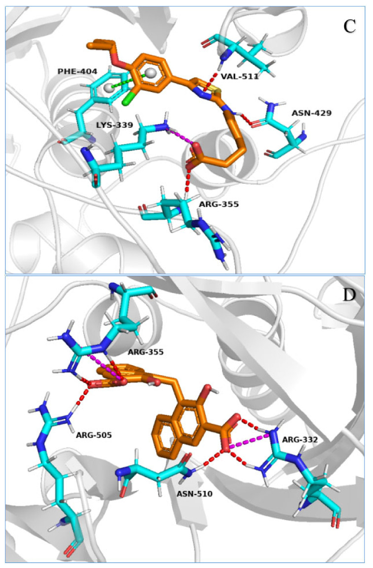 Figure 6