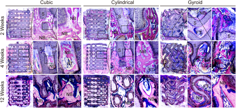 Fig. 7