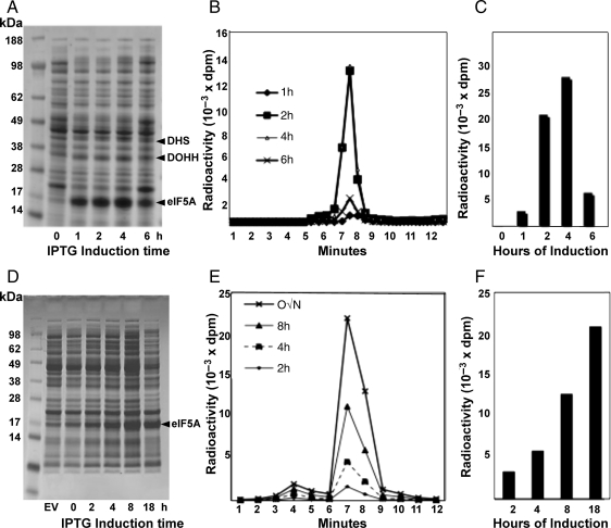 Fig. 2