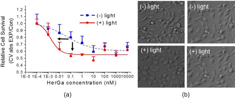 Figure 13.