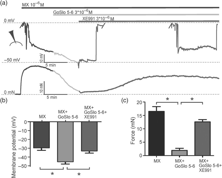 Figure 13