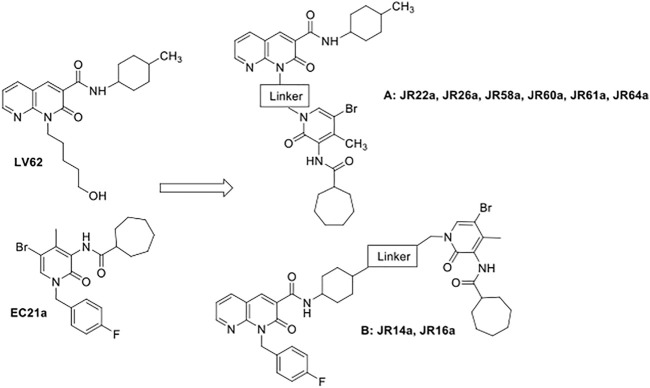 FIGURE 1