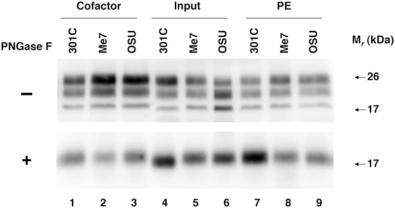 Fig. 5.