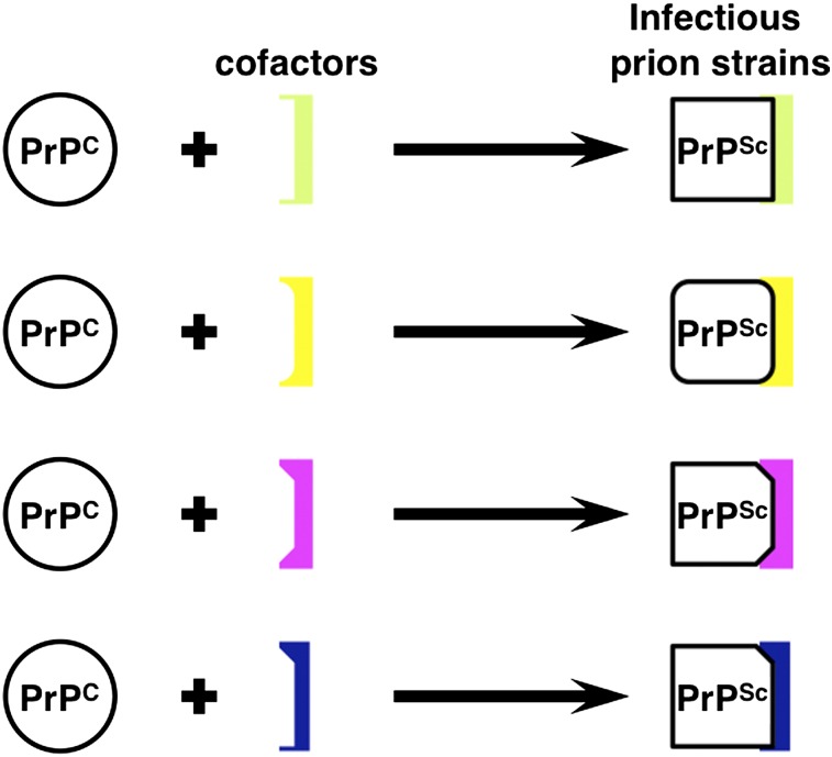 Fig. P1.