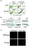 FIG. 3.