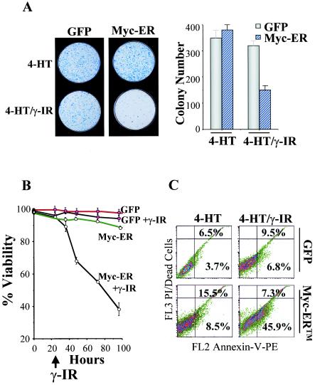 FIG. 7.