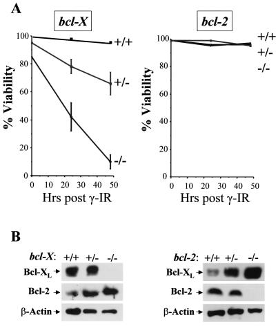 FIG. 9.