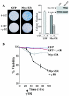 FIG. 1.