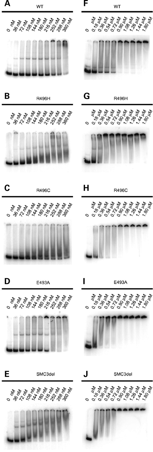 Figure 1.