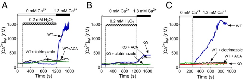 Fig. 5.