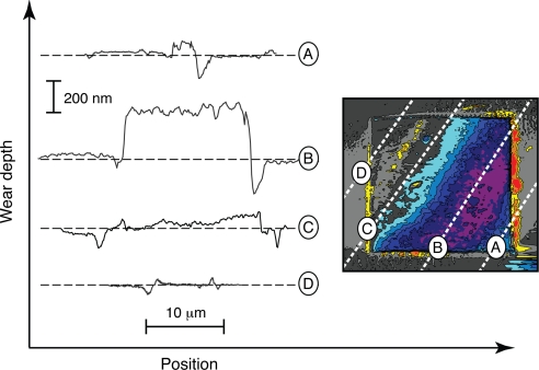 Fig. 10.