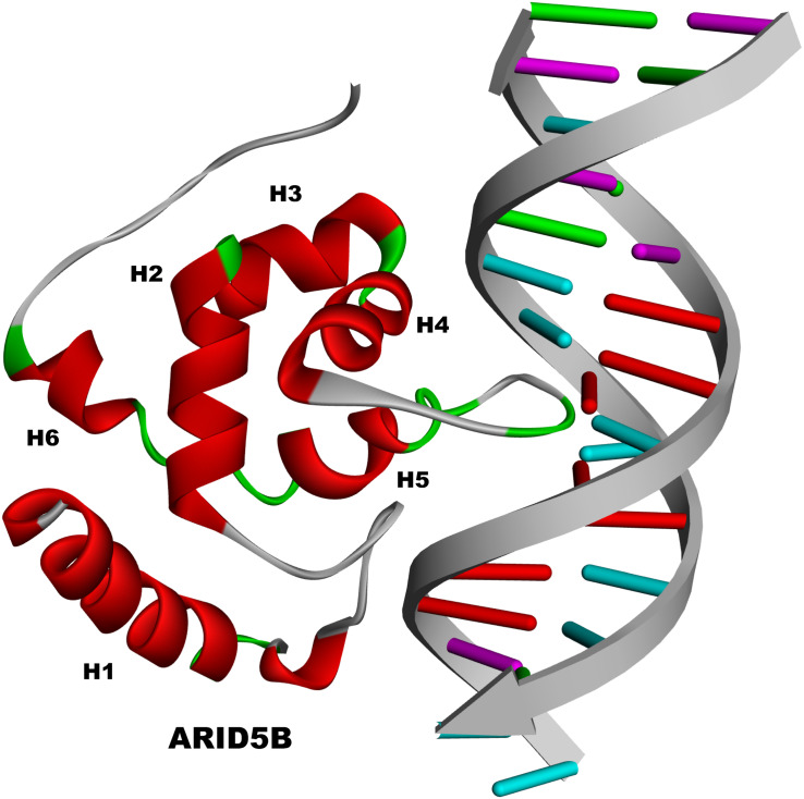 FIGURE 2