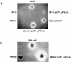 FIG. 5.