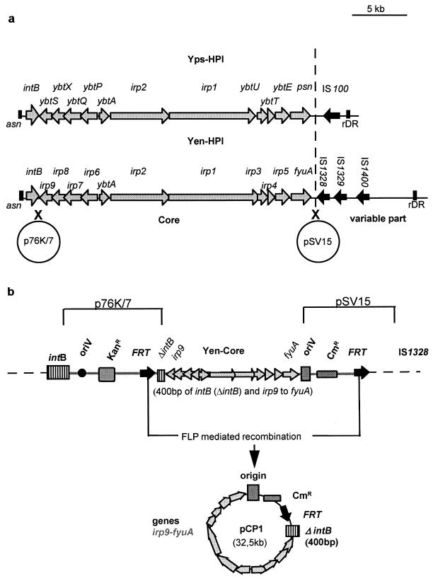 FIG. 1.