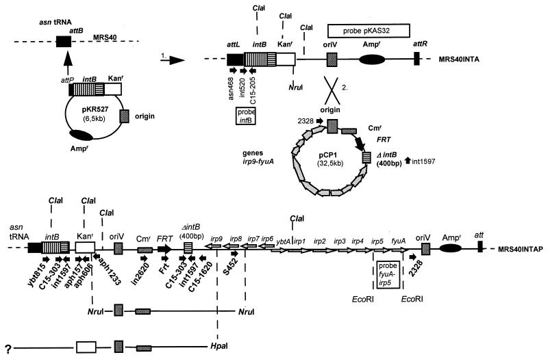 FIG. 2.