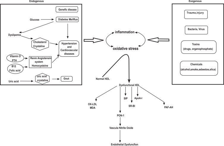 Fig. (1)