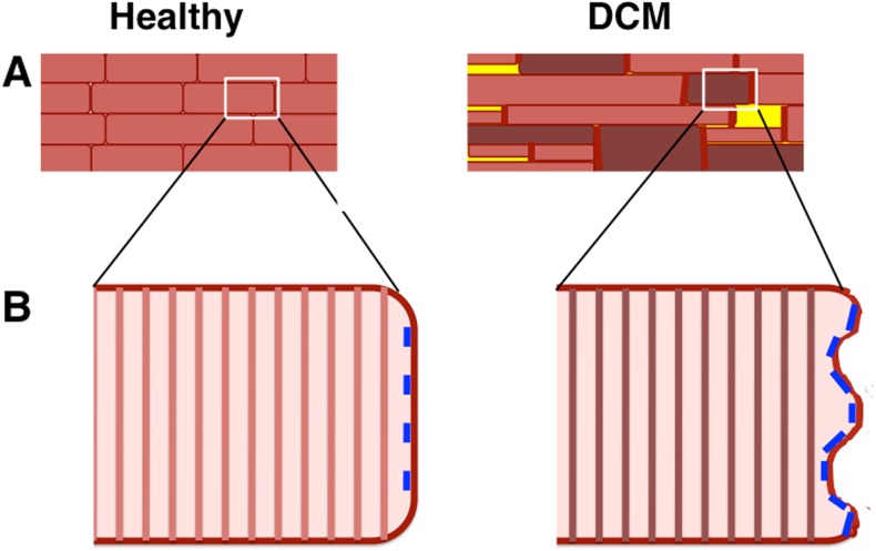 Fig. 7