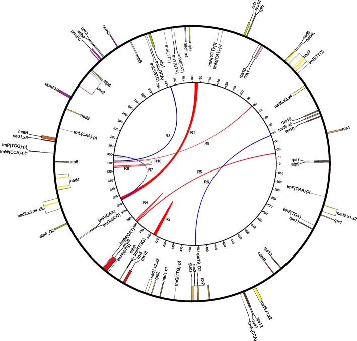 Fig. 1