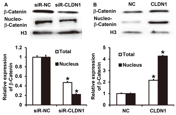 Figure 5.