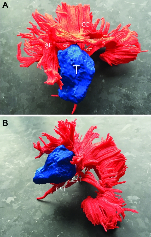 FIGURE 16.